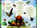 MINUSCULE LA VIE PRIVEE DES INSECTES VOL 1